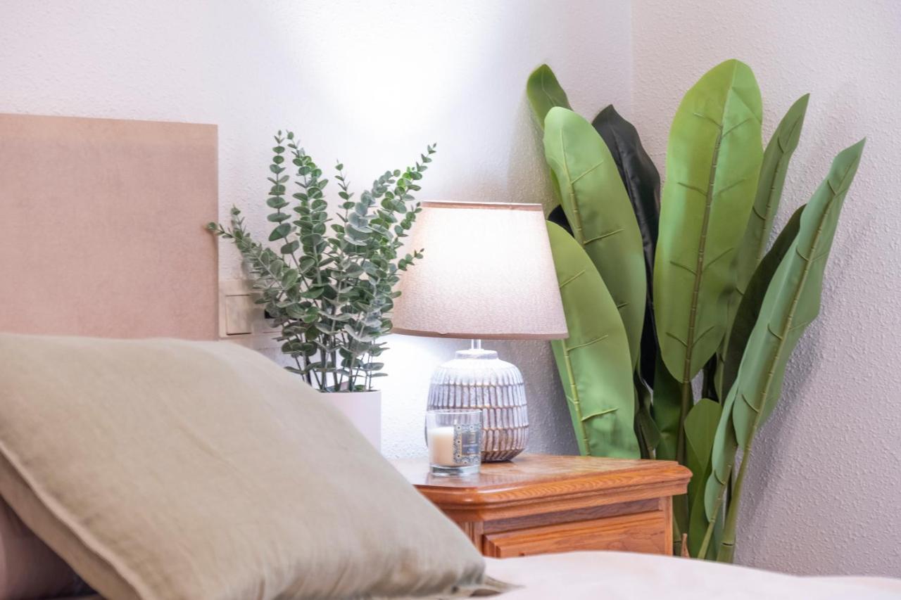 Apartamento Baztangoa II Elizondo Extérieur photo